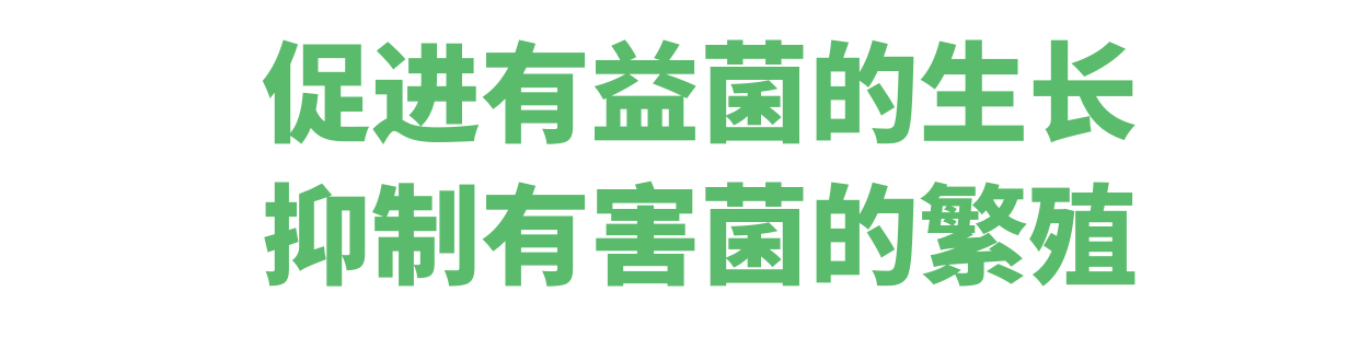 未标题-2 拷贝.jpg